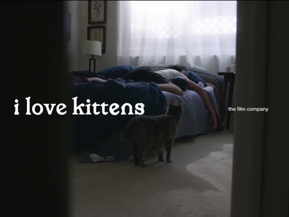 I Love Kittens